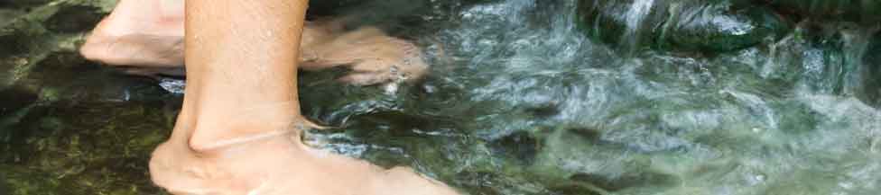 vinos